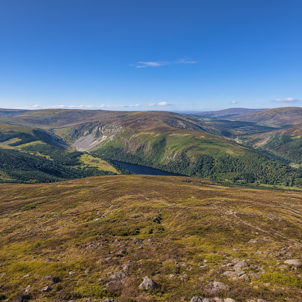The Landform