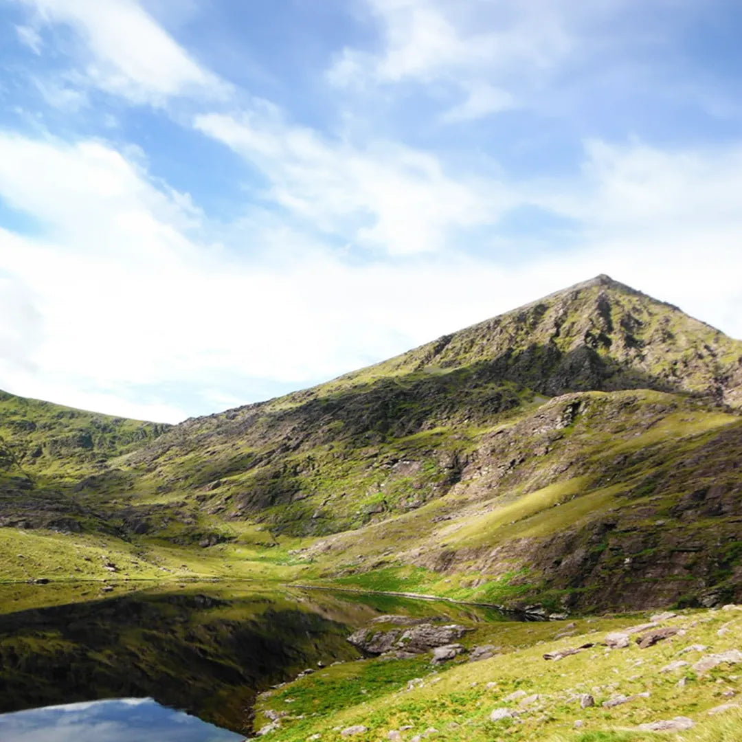 The Landform