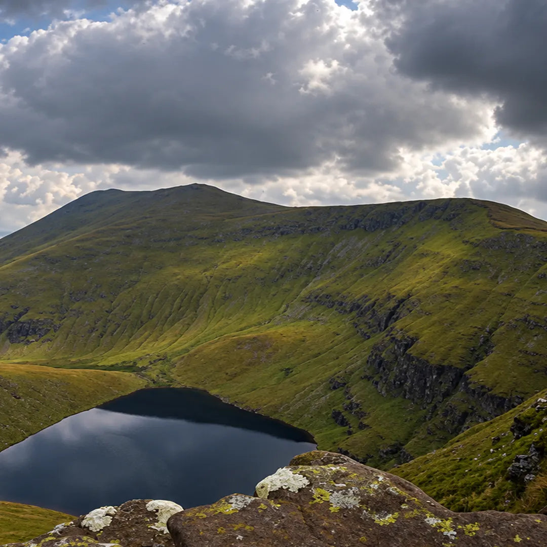 The Landform