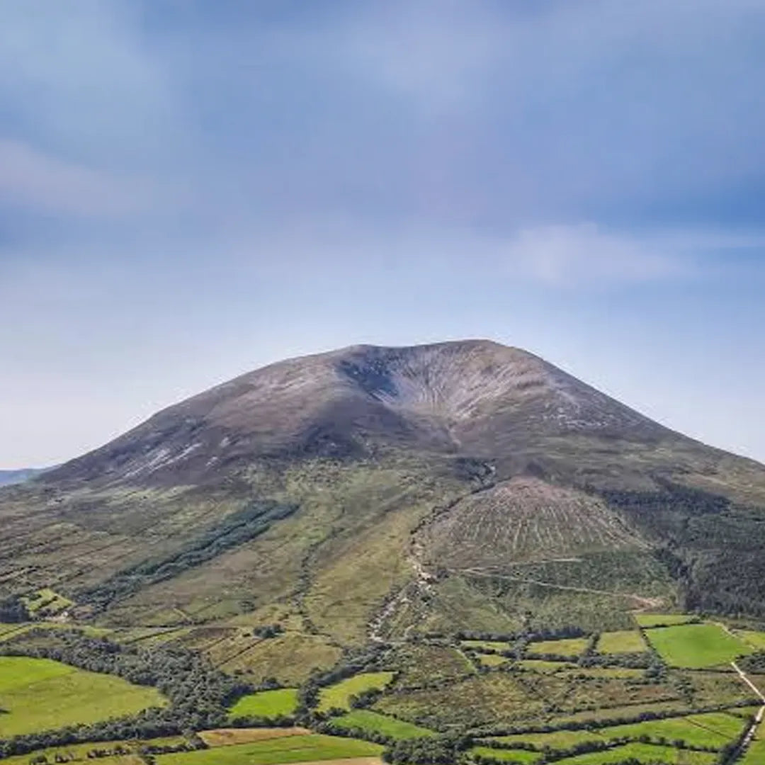 The Landform